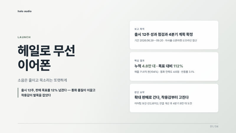 헤일로 무선 이어폰 보고·분석 덱