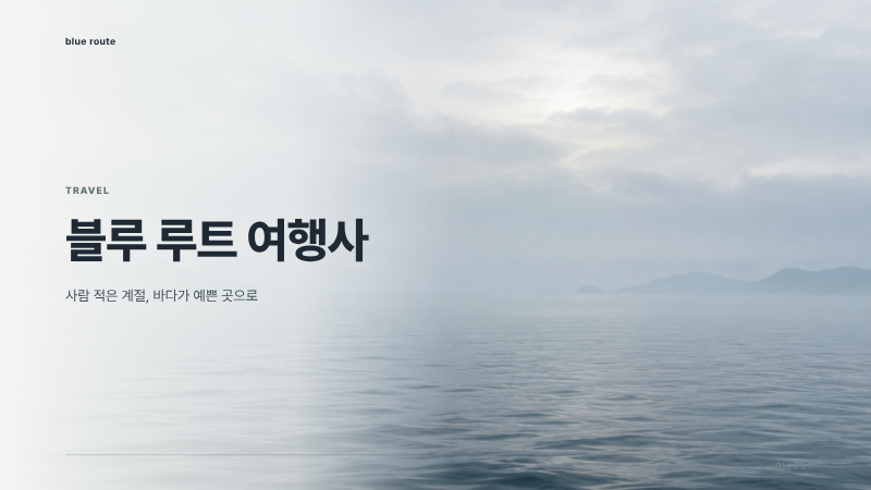 블루 루트 여행사 표지